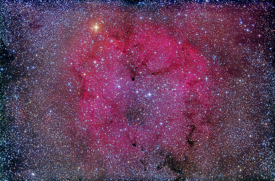 Cepheus Photograph - Ic 1396 & Garnet Star In Cepheus by Alan Dyer