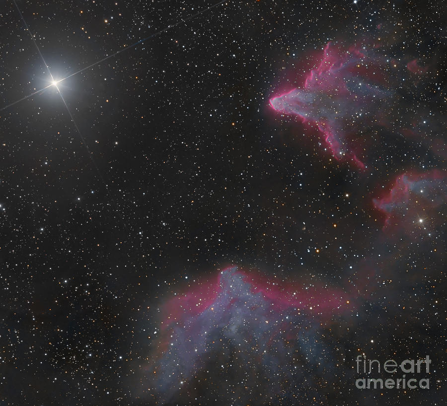 Space Photograph - Ic 59 And Ic 63 In Cassiopeia by Bob Fera