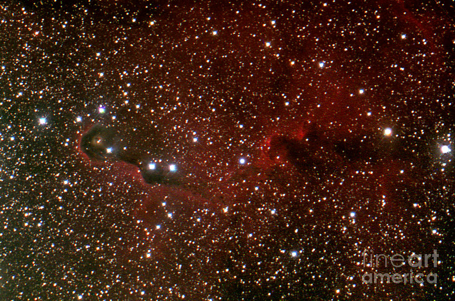 Ic1396 Cepheus Elelphant Trunk Nebula Photograph by John Chumack