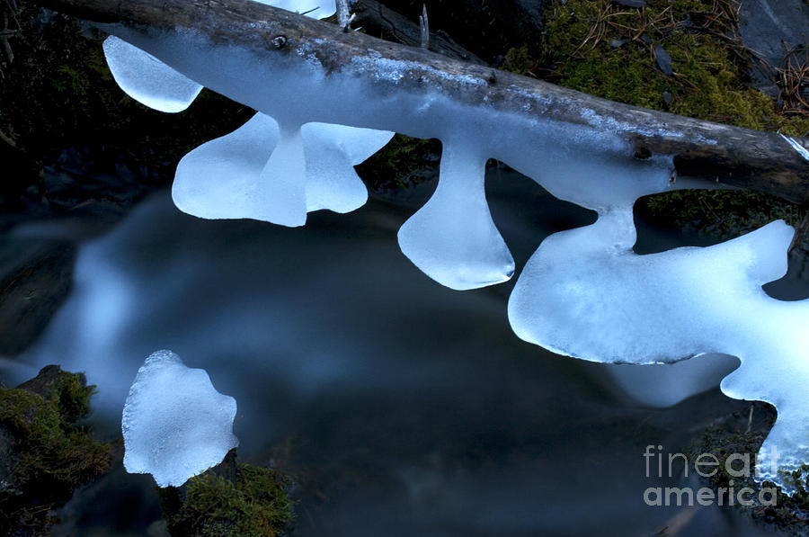Winter Photograph - Ice 1 by Bob Christopher