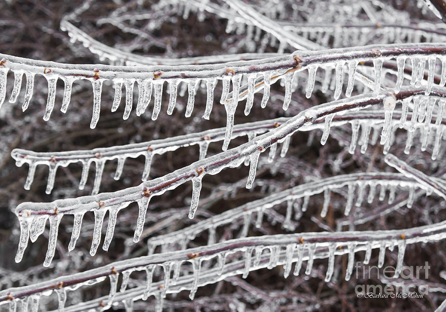 Ice Abstract 2 Photograph by Barbara McMahon