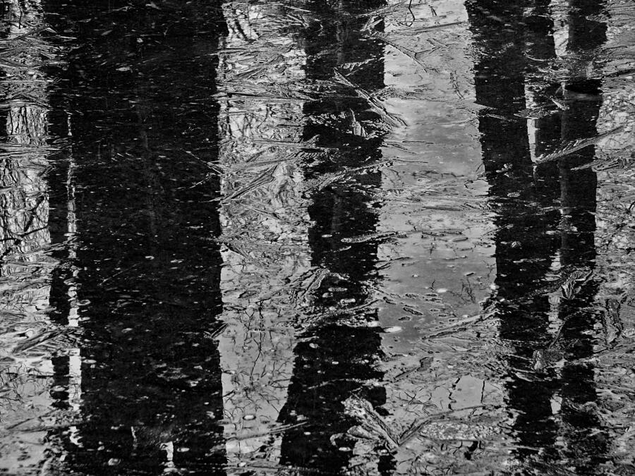 Abstract Photograph - Ice Abstract by Karol Livote