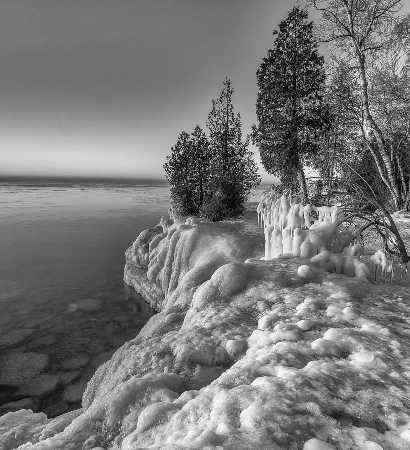 Ice And Cedars Photograph by Jeffrey Ewig