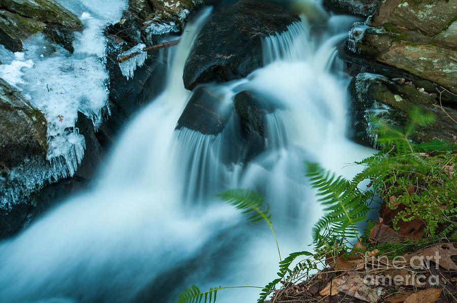 Waterfall - Ice and Ferns Photograph by JG Coleman