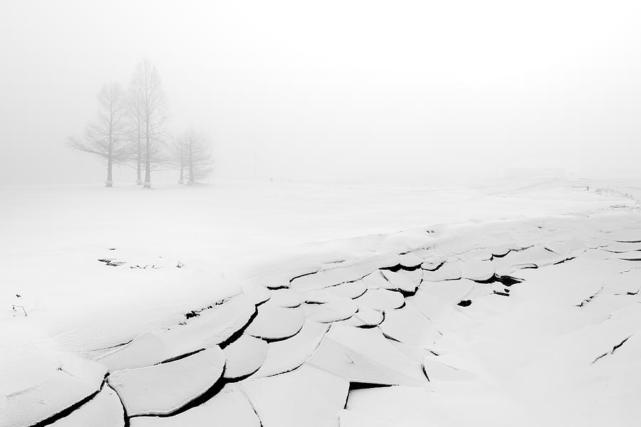 Ice and Fog 10 Photograph by D Scott Clark