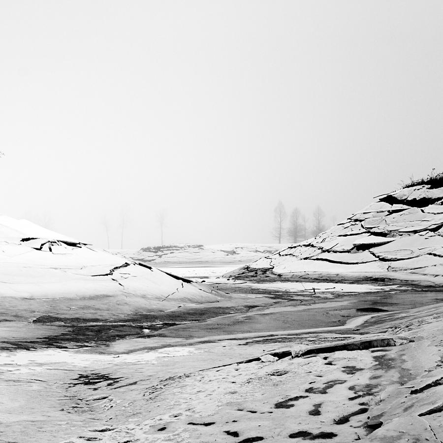 Ice and Fog 5 Photograph by D Scott Clark