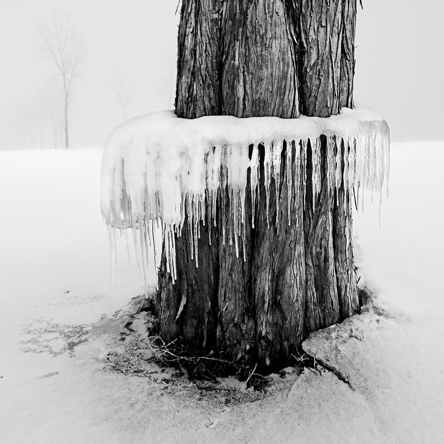 Ice and Fog 7 Photograph by D Scott Clark