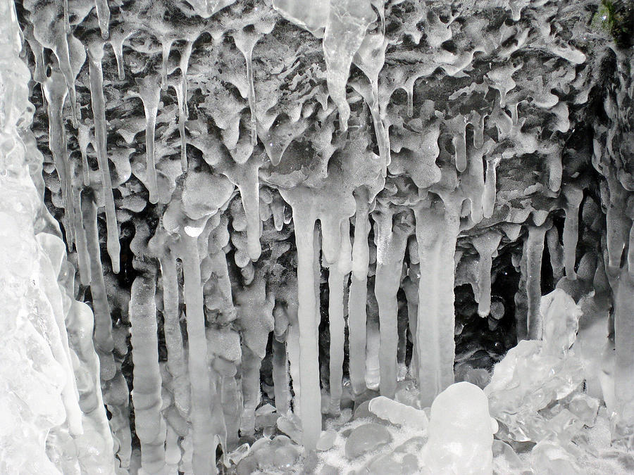Winter Photograph - Ice Art Work by Dr Carolyn Reinhart