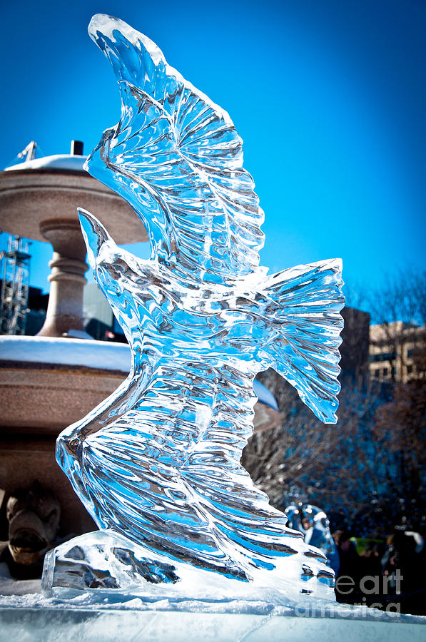 Ice Bird Photograph by Cheryl Baxter