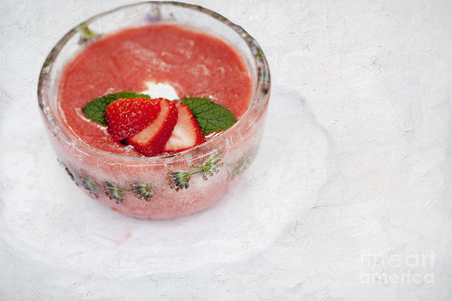 Ice Bowl Filled with Cold Strawberry Rhubarb Soup Photograph by Juli Scalzi
