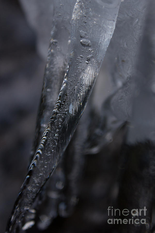 Ice Cold 1 Photograph by Joel Loftus