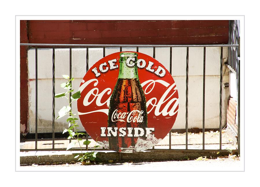 Ice Cold Photograph by Alice Gipson