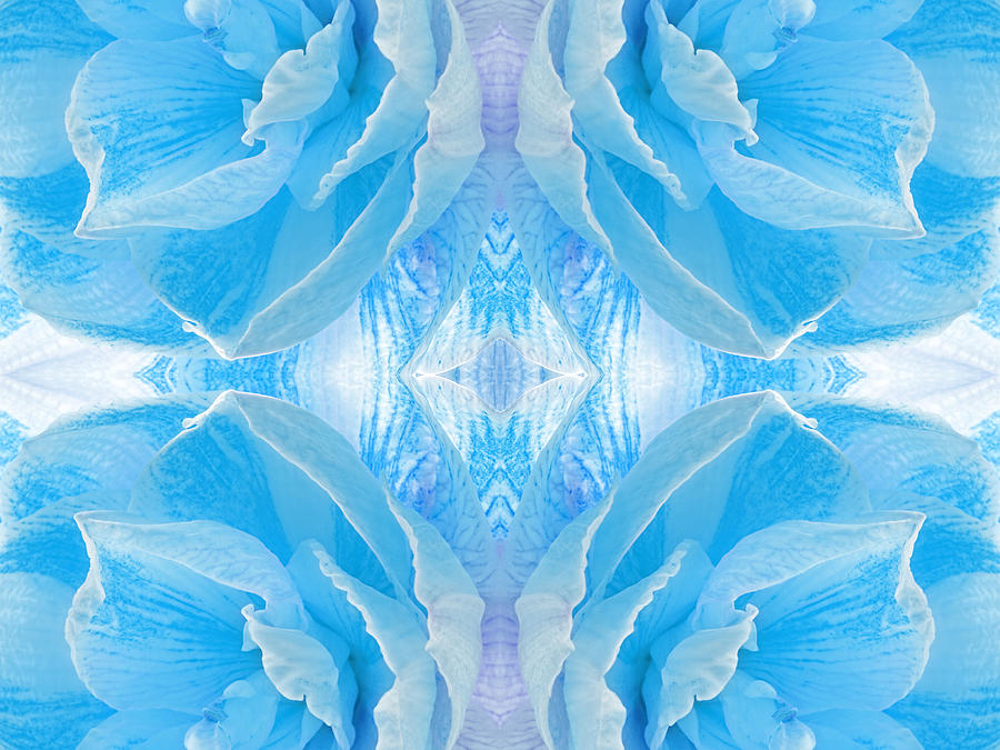 Ice Cool Blue Photograph by Gill Billington