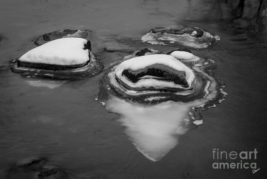 Ice Covered Rocks Photograph by Alana Ranney