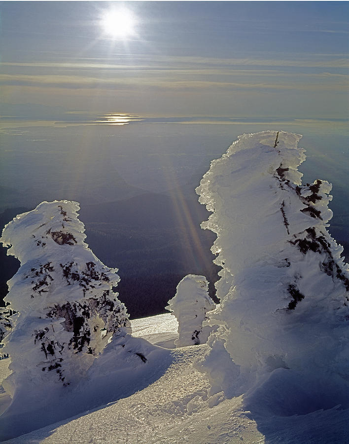 2M4415-Ice Covered Trees on Mt. Pilchuck  Photograph by Ed  Cooper Photography