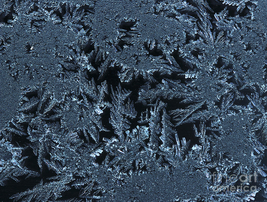 Ice Crystals 2 Photograph by Morgan Wright