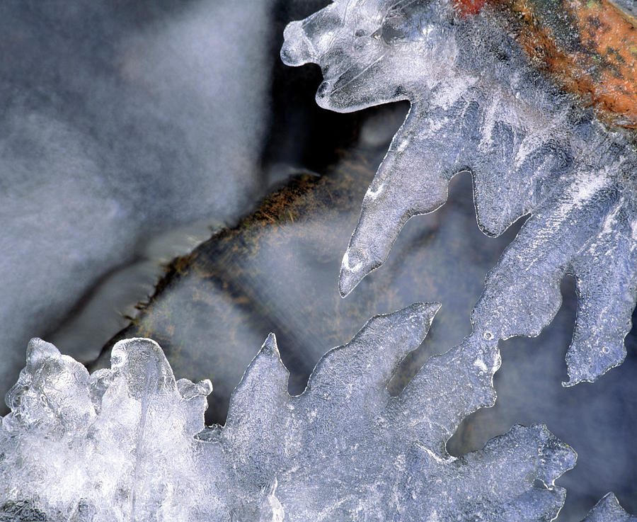Ice Crystals Above Running Water Photograph by Simon Fraser/science Photo Library