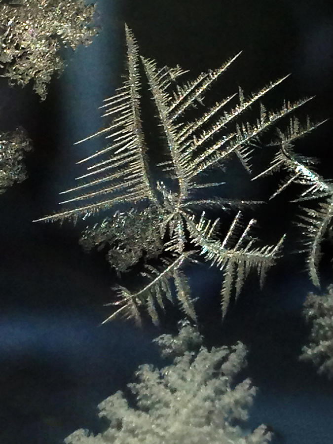 Ice Crystals Photograph by Shane Bechler