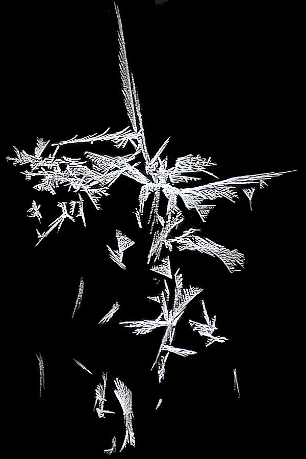 Ice Crystals Photograph by Geraldine Alexander