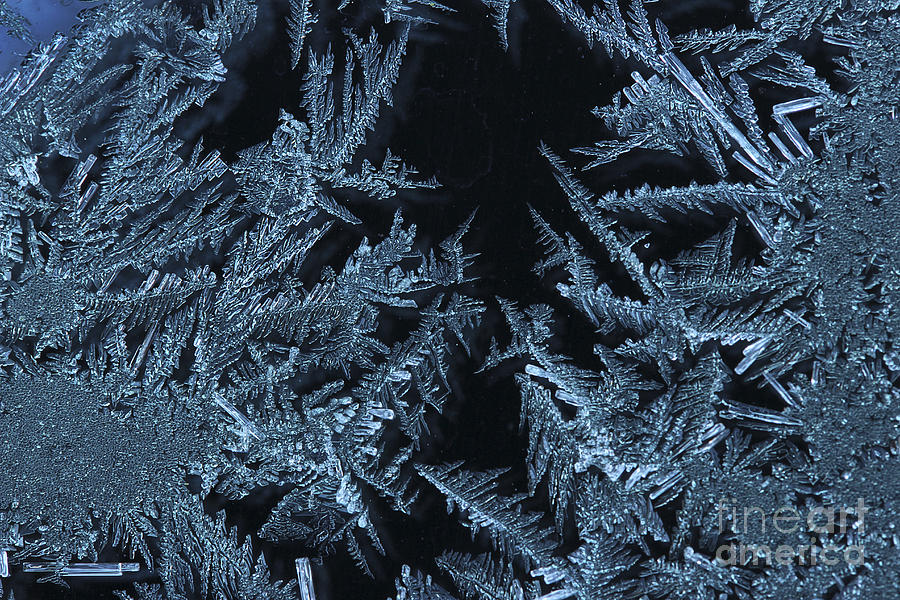 Ice Crystals Photograph by Morgan Wright