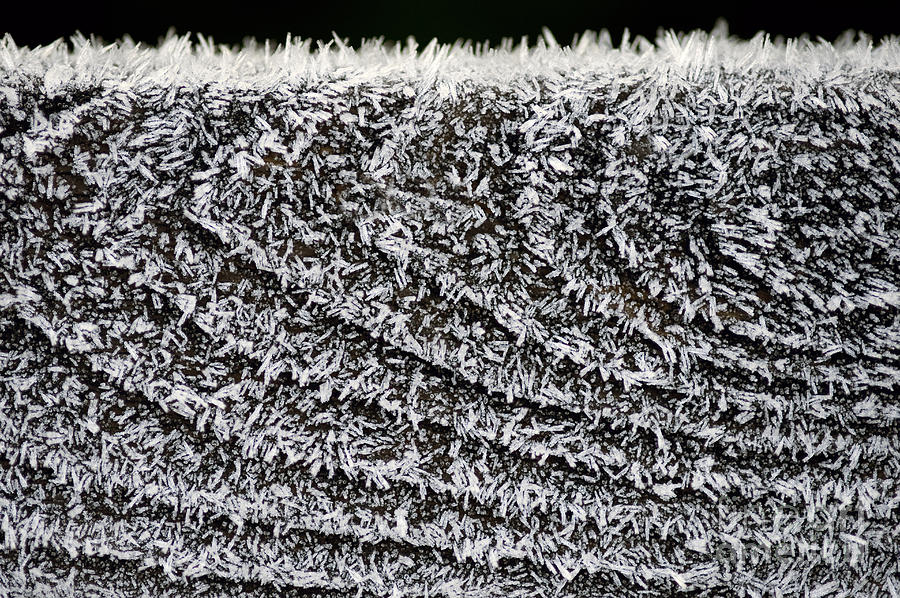 Fall Photograph - Ice crystals on wood railing by Jim Corwin