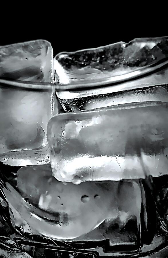 Ice Cube Cheer Photograph by Diana Angstadt