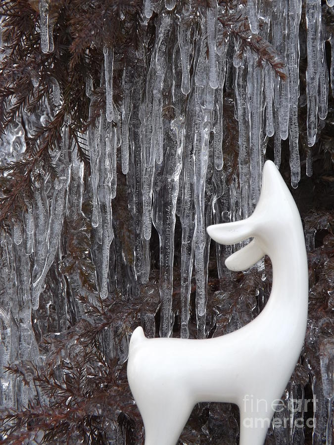 Ice Deer 3 Photograph by Gerald Strine - Fine Art America