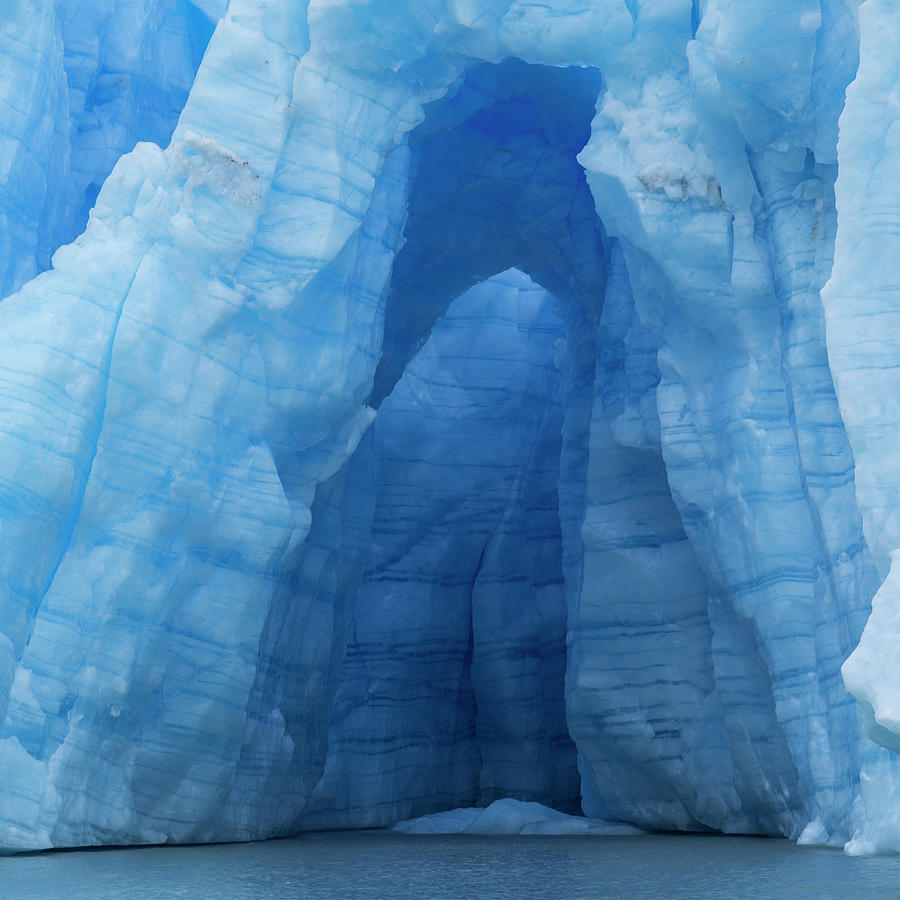Ice Detail At Grey Glacier Photograph by Ignacio Palacios