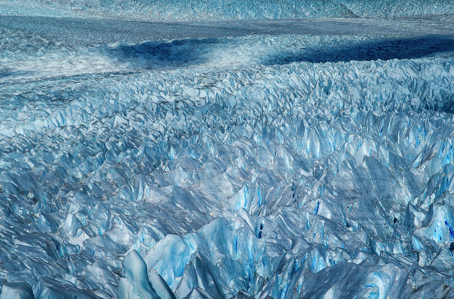 Ice Detail, Perito Moreno Glacier Photograph by Ignacio Palacios