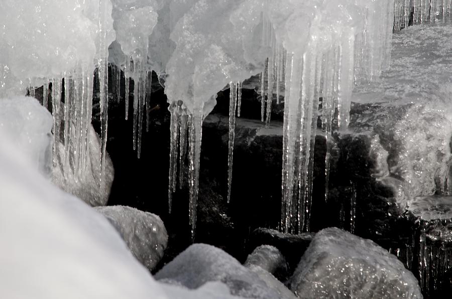 Ice Dripping Photograph by Hella Buchheim