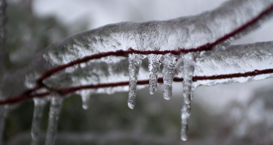 Ice drippings Photograph by Douglas Pike