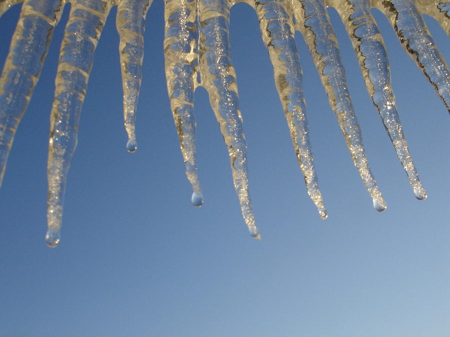 Ice Drips Photograph by Bonnie Thornburg - Fine Art America