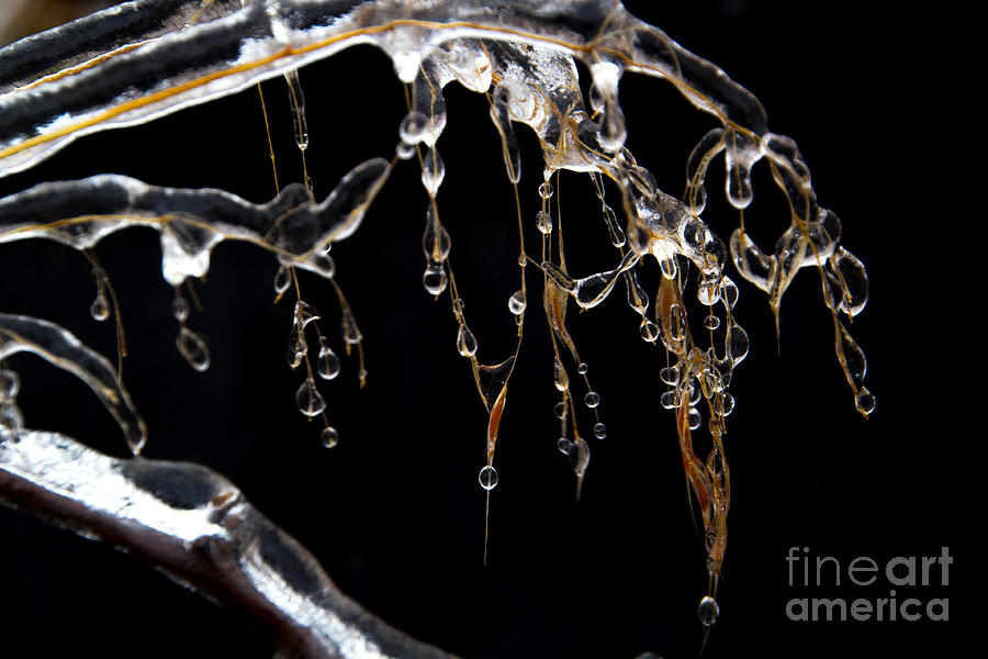 Ice Droplets Photograph by Jim McCain