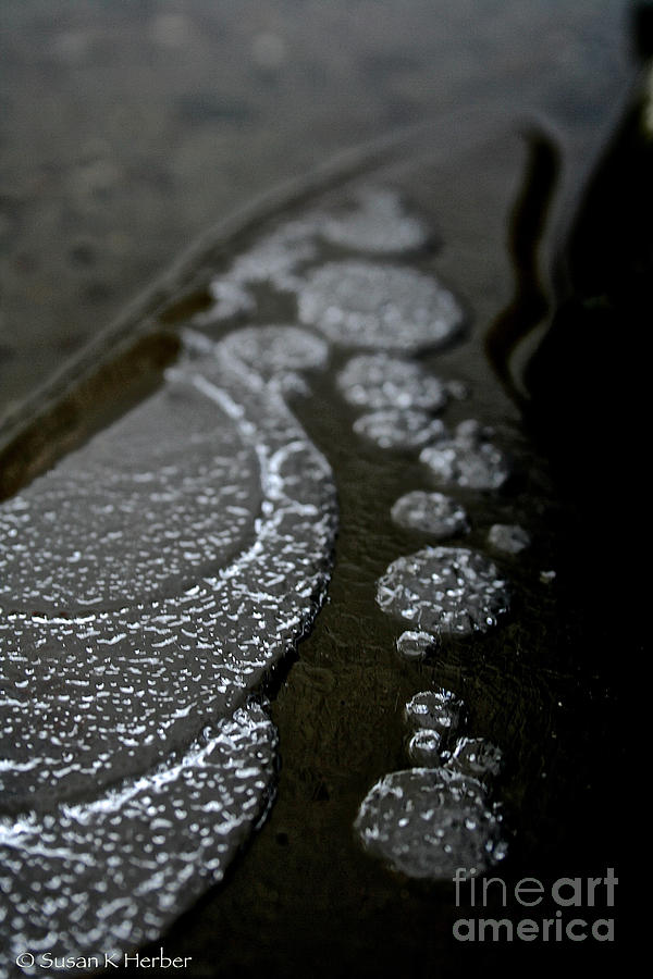 Ice Edge Bubbles Photograph by Susan Herber