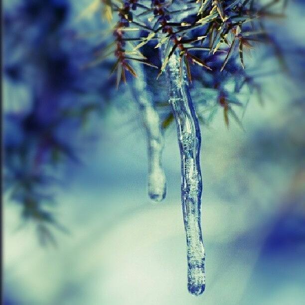 Winter Photograph - Ice by Emanuela Carratoni