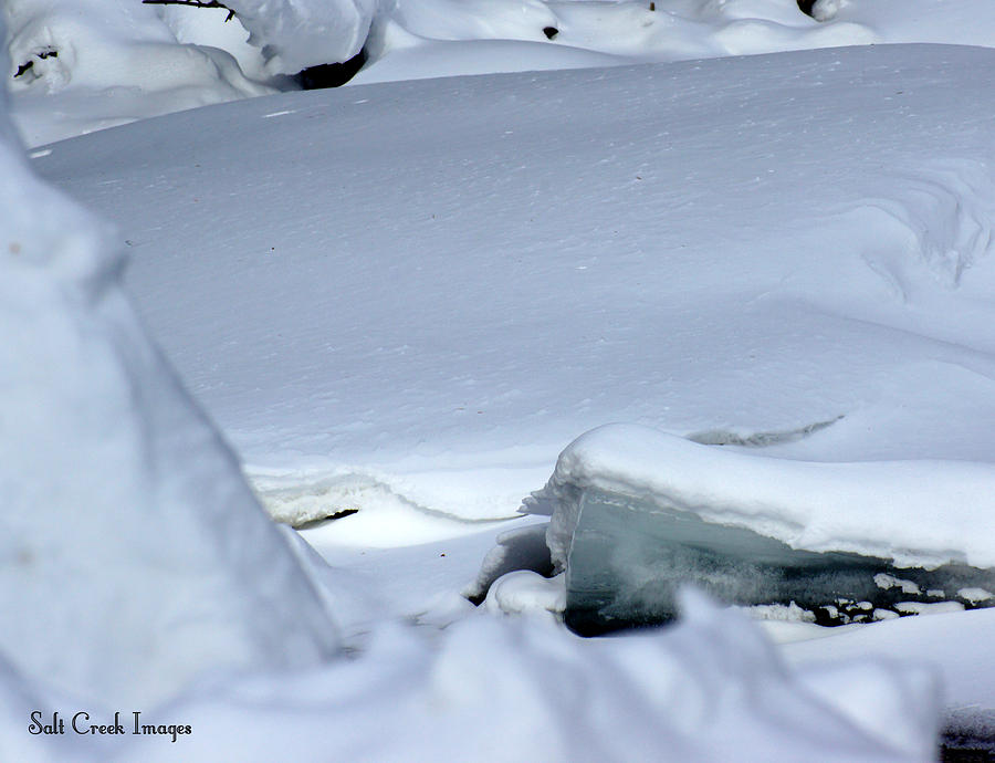 Landscape Photograph - Ice Escape by Cecily Vermote