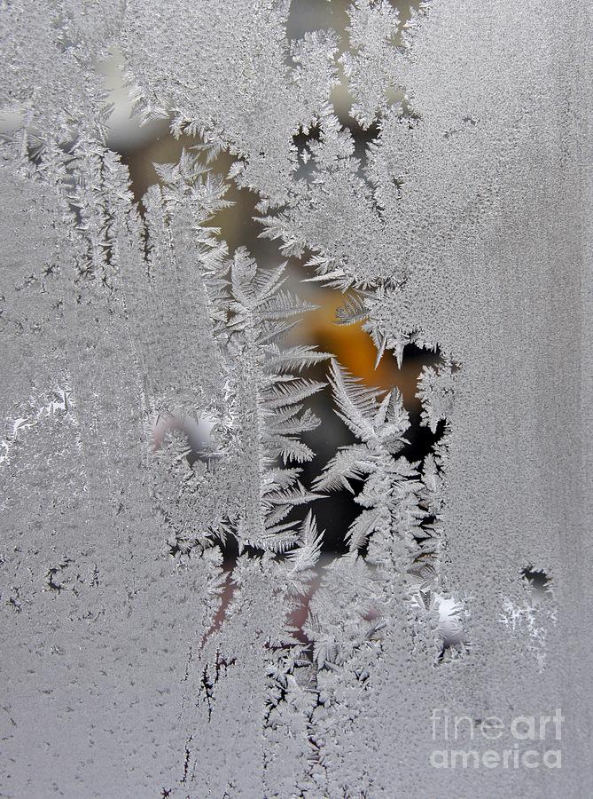 Ice Etchings Photograph by Lilliana Mendez