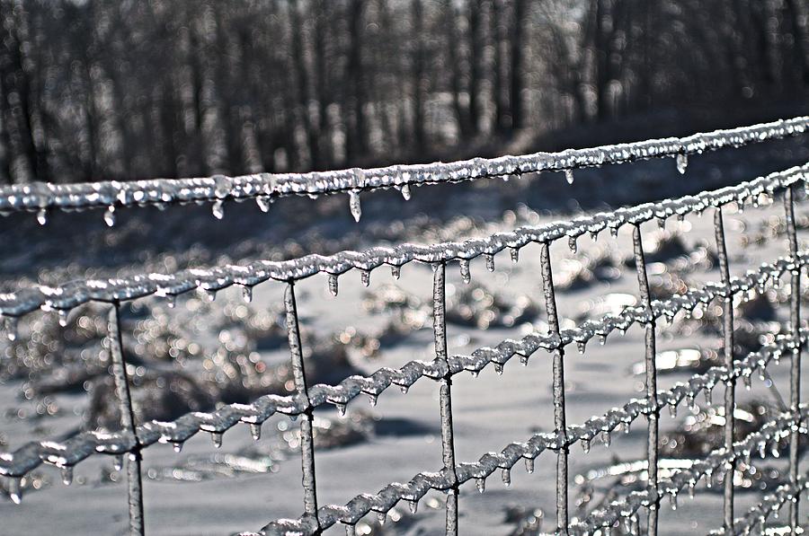 Ice Fence Photograph by Douglas Pike