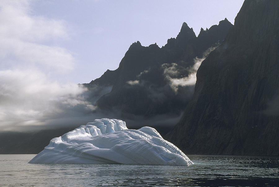 Ice Floe In Southern Greenland Fjord Photograph by Tui De Roy