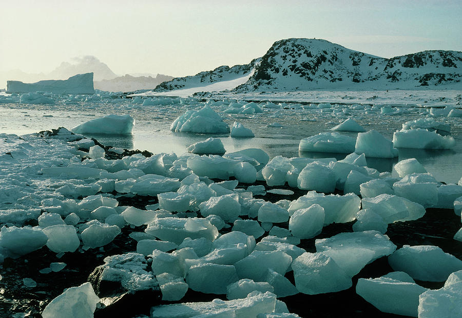 Ice Floes Around Antarctic Coast by Simon Fraser/science Photo Library