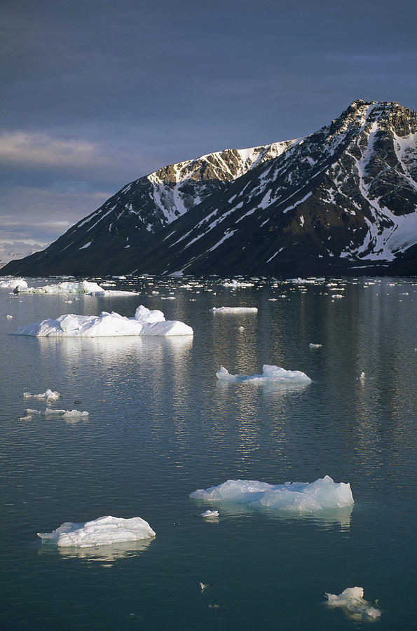 Ice Floes In Evening Light Spitsbergen Photograph by Tui De Roy