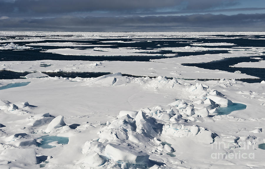 Ice Floes Photograph by John Shaw