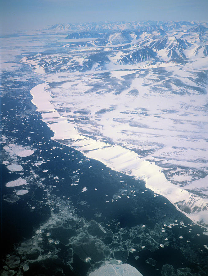 Ice Floes Near The East Coast Of Greenland Photograph by Simon Fraser/science Photo Library