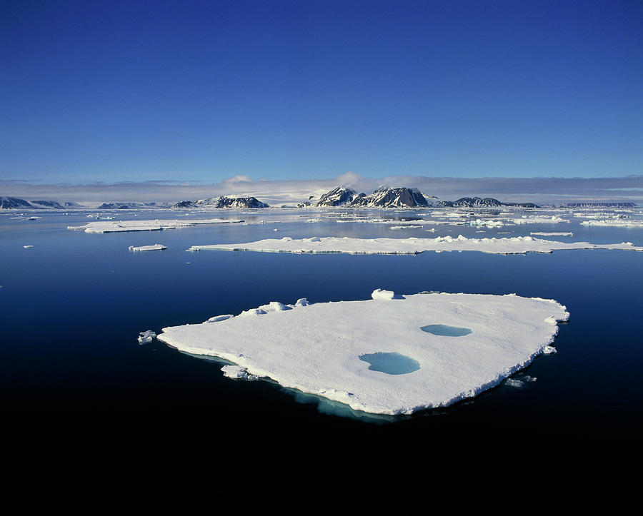 Ice Floe Photos and Images & Pictures