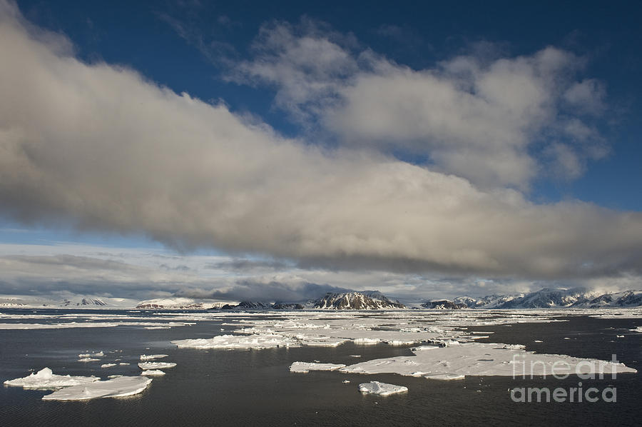 Ice Floes, Spitsbergen Photograph by John Shaw