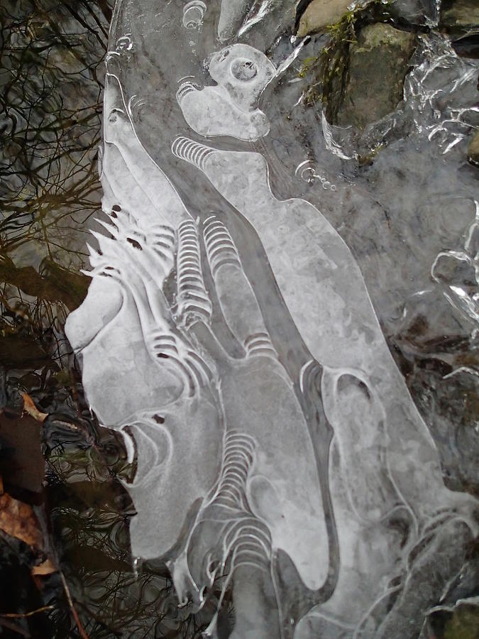 Ice Flow 1 Photograph by Robert Nickologianis
