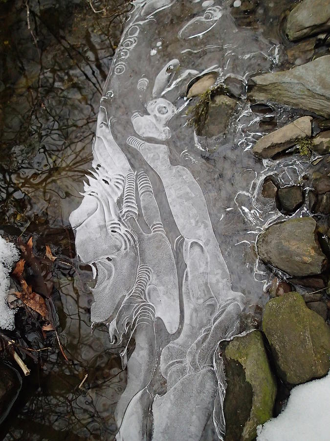 Ice Flow 2 Photograph by Robert Nickologianis