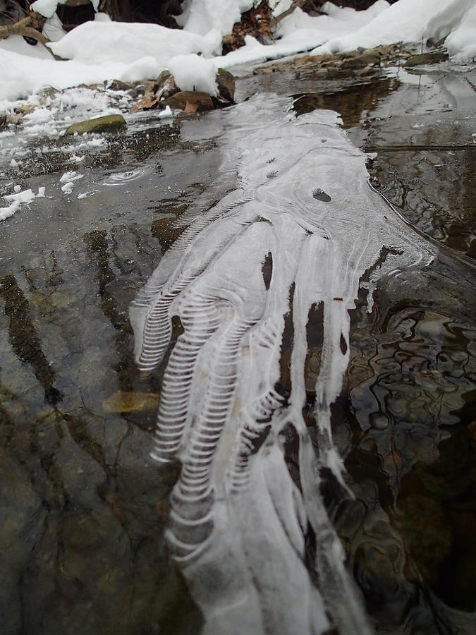 Ice Flow 7 Photograph by Robert Nickologianis