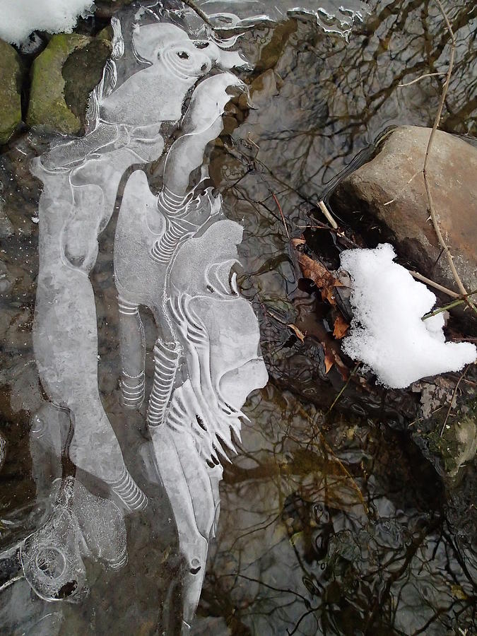 Ice Flow Photograph by Robert Nickologianis