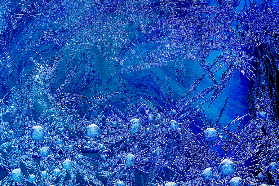 Ice Flowers in blue Photograph by Peter V Quenter